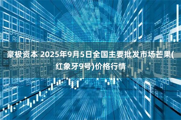 豪极资本 2025年9月5日全国主要批发市场芒果(红象牙9号)价格行情