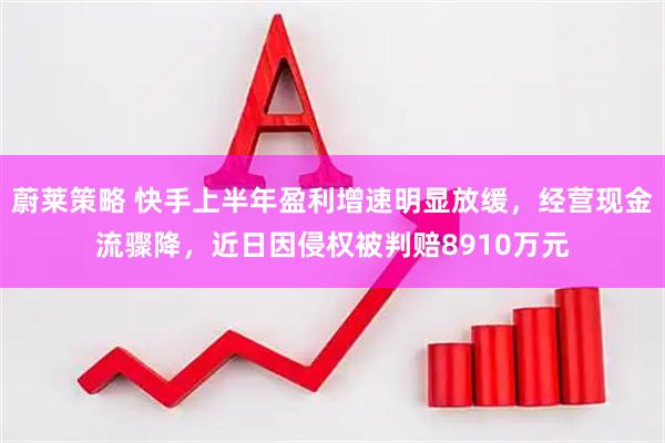 蔚莱策略 快手上半年盈利增速明显放缓，经营现金流骤降，近日因侵权被判赔8910万元