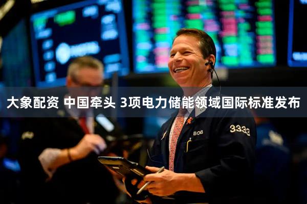大象配资 中国牵头 3项电力储能领域国际标准发布