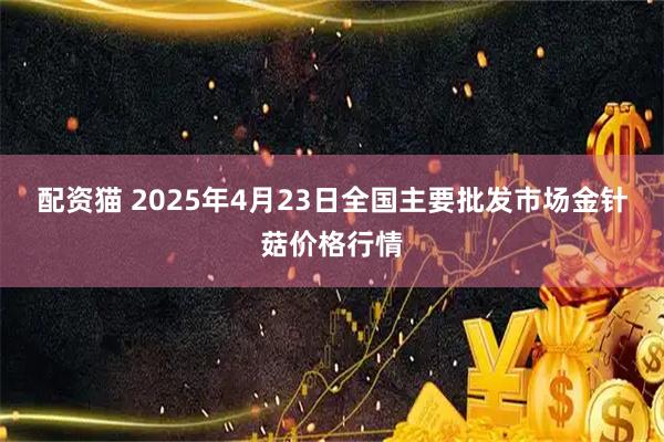 配资猫 2025年4月23日全国主要批发市场金针菇价格行情
