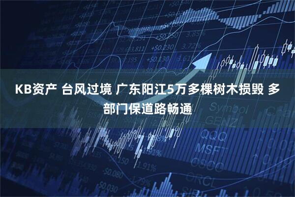 KB资产 台风过境 广东阳江5万多棵树木损毁 多部门保道路畅通