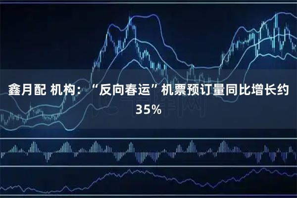 鑫月配 机构：“反向春运”机票预订量同比增长约35%
