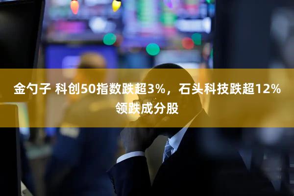 金勺子 科创50指数跌超3%，石头科技跌超12%领跌成分股